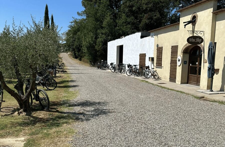 Boutique Winery Visit & Wine Tasting near Arezzo - Who this tour fits best (and who may want a different option)