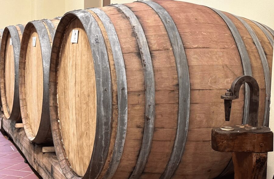 Boutique Winery Visit & Wine Tasting near Arezzo - Why this winery visit near Arezzo has a better pace