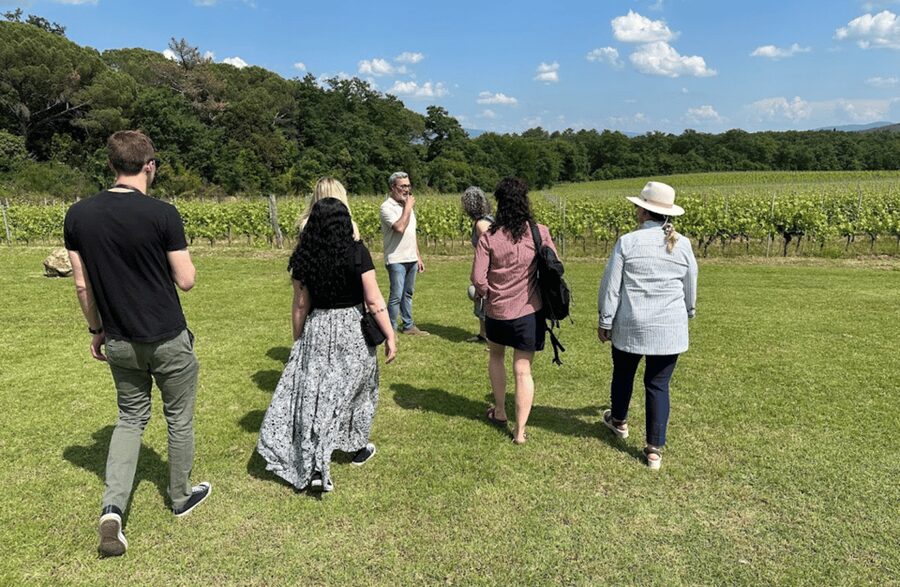 Boutique Winery Visit & Wine Tasting near Arezzo - The tasting: 3 wines, estate olive oil, and local snacks