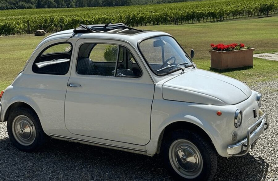 Boutique Winery Visit & Wine Tasting near Arezzo - How the guided explanations connect to what you taste