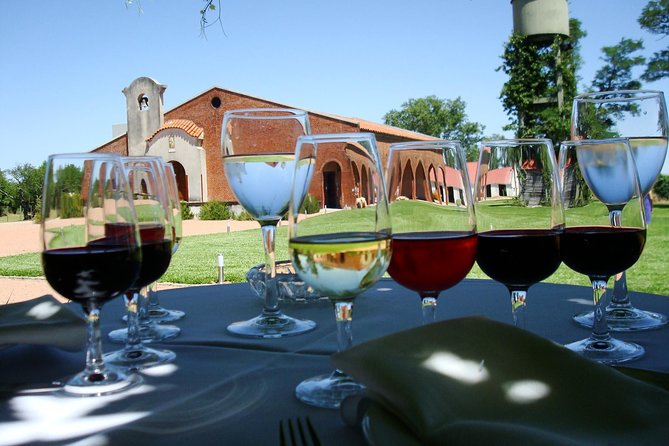 Bouza Winery only Lunch (Esp, Eng, Port) - Where Bouza Winery fits in your Montevideo day