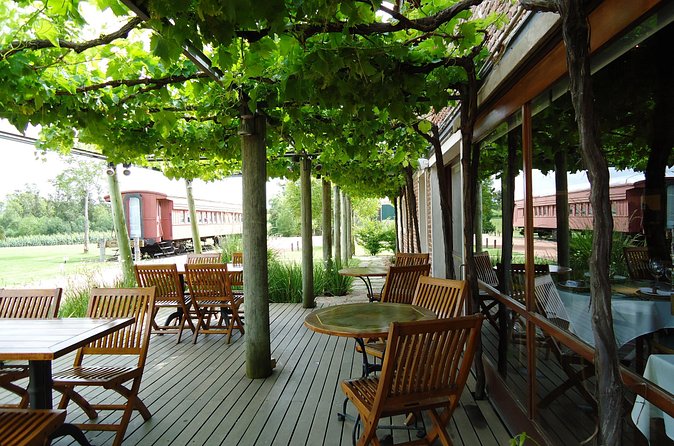 Bouza Winery only Lunch (Esp, Eng, Port) - Comfort, group size, and language: why these small details matter