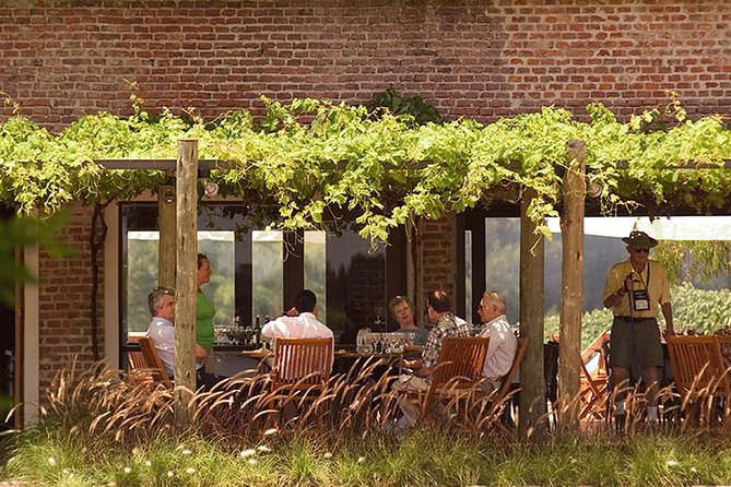 Bouza Winery Tastings and Tapas (Esp, Eng, Port) - Food: snacks included, lunch depends on your choice