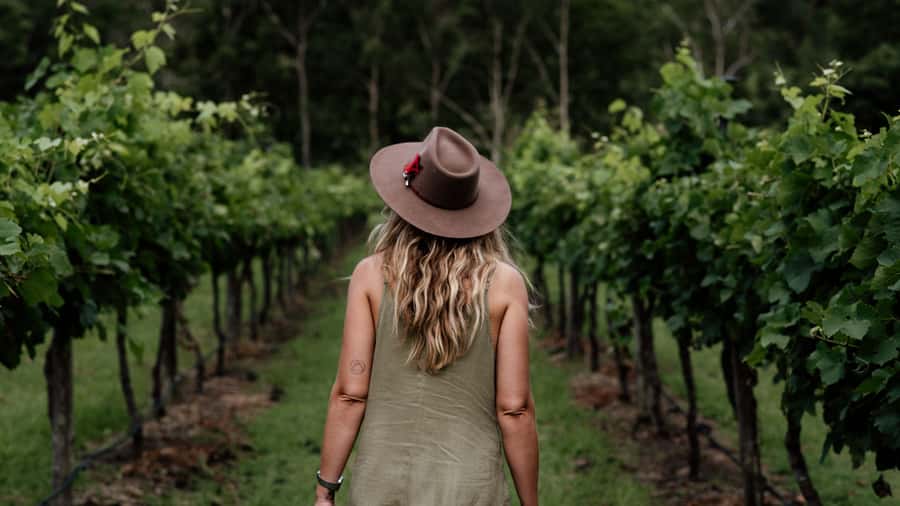 Brisbane: Boutique Winery Tour with Gourmet Lunch - Brisbane to the Gold Coast hinterland: why this route is easier than self-drive