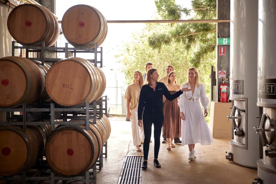 Brisbane: Sirromet Winery Tour with Tasting & 2-Course Lunch - The guided winery tour: walking through the real process