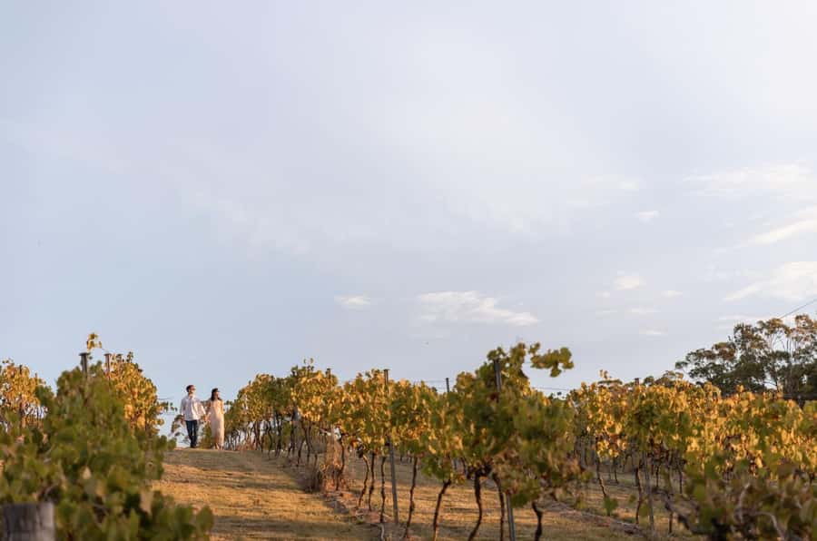 Brisbane: Sirromet Winery Tour with Tasting & 2-Course Lunch - Things to keep in mind (so your afternoon stays smooth)