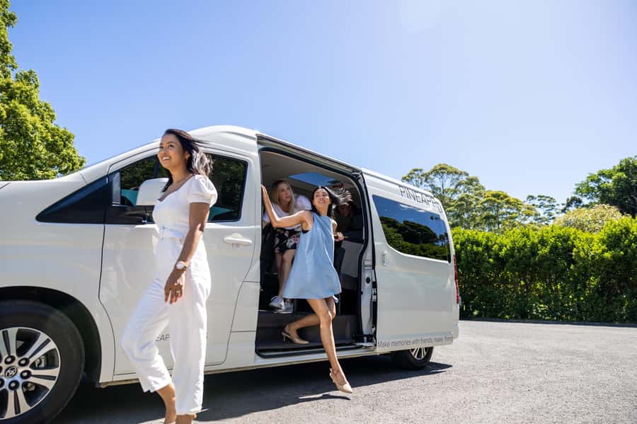 Brisbane: Tamborine Mountain Local Winery Tour with Lunch - Tamborine Mountain in One Smooth 6-Hour Block