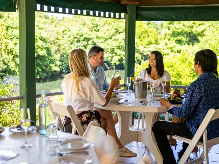 Brisbane: Tamborine Mountain Local Winery Tour with Lunch - Brisbane Pickup, New Air-Conditioned Comfort, and the Small-Group Factor
