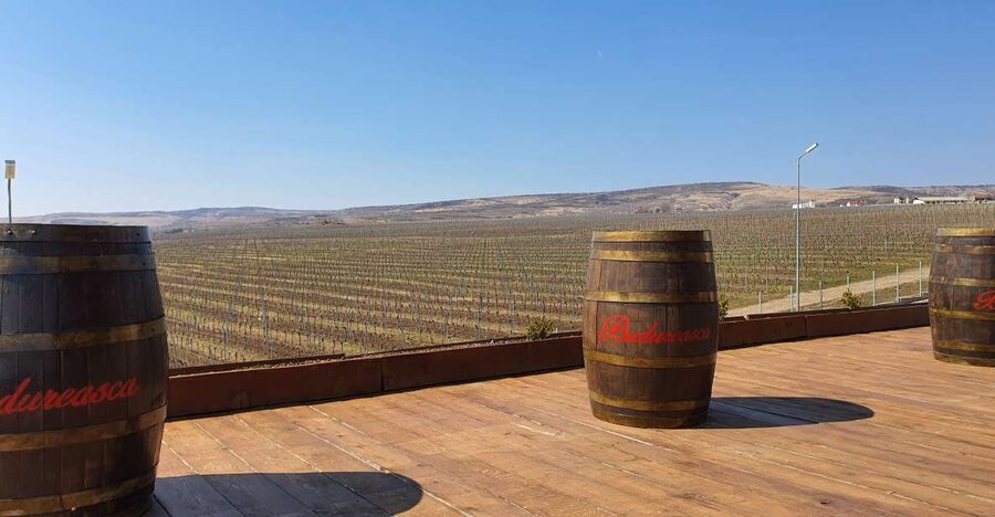 Bucharest: Dealu Mare Winery Private Trip with Wine Tasting - Why Dealu Mare Works Well as a Day Trip From Bucharest