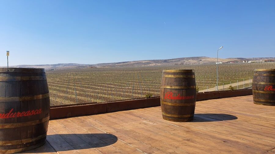 Bucharest: Dealu Mare Winery Private Trip with Wine Tasting - Price and Logistics: What You’re Really Paying For
