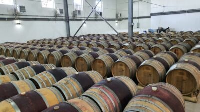 Bucharest: Dealu Mare Winery Private Trip with Wine Tasting - Departing Bucharest: Comfort, Timing, and Vineyard Views
