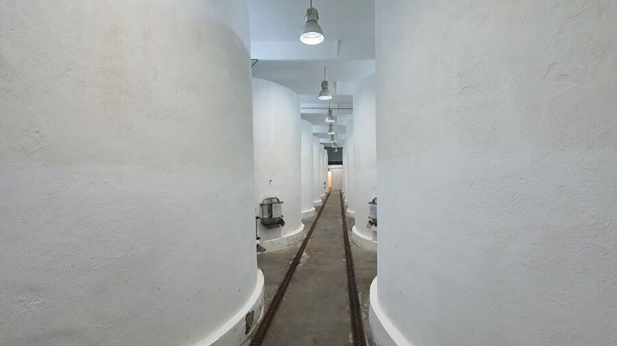 Bucharest: Dealu Mare Winery Private Trip with Wine Tasting - How to Taste Smarter During the Day
