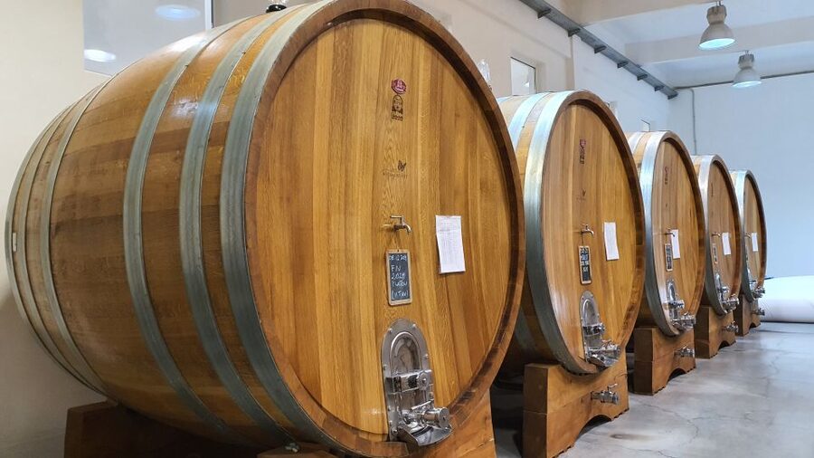 Bucharest: Dealu Mare Winery Private Trip with Wine Tasting - The Return to Bucharest: Keep the Day Relaxed
