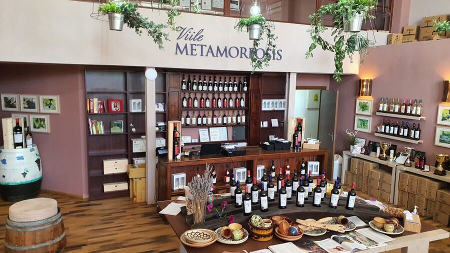 Bucharest: Dealu Mare Winery Private Trip with Wine Tasting - Should You Book This Dealu Mare Winery Private Trip?