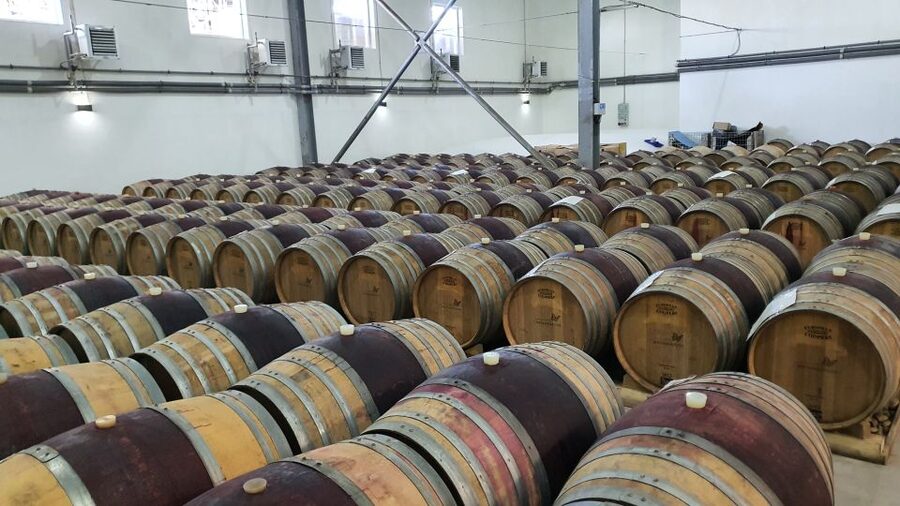 Bucharest: Dealu Mare Winery Private Trip with Wine Tasting - Departing Bucharest: Comfort, Timing, and Vineyard Views