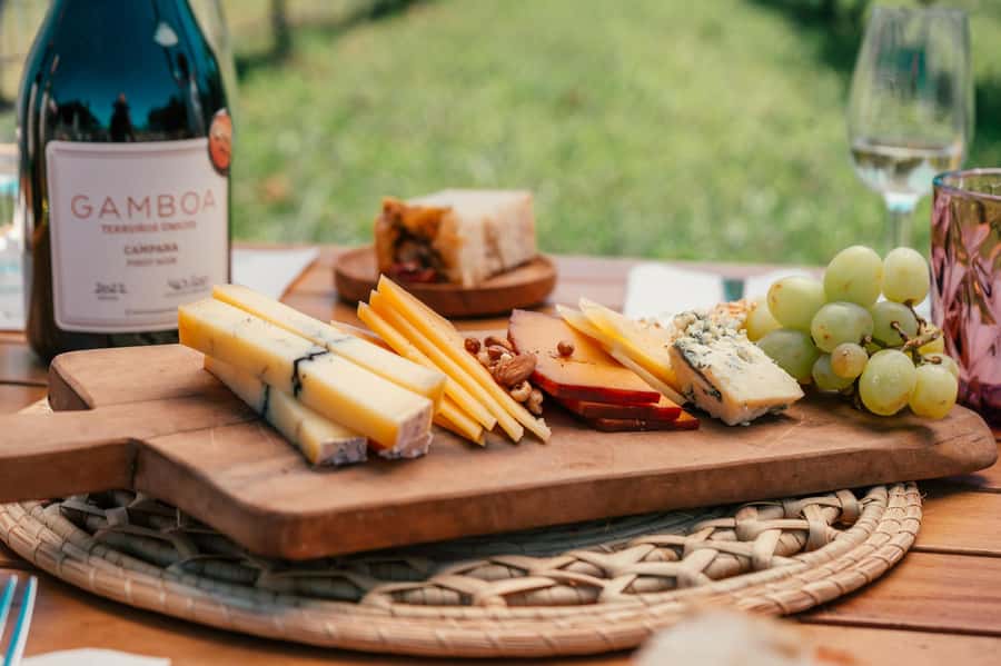 Buenos Aires: Wine Tasting & Lunch at Gamboa Vineyard - Key things to know before you go
