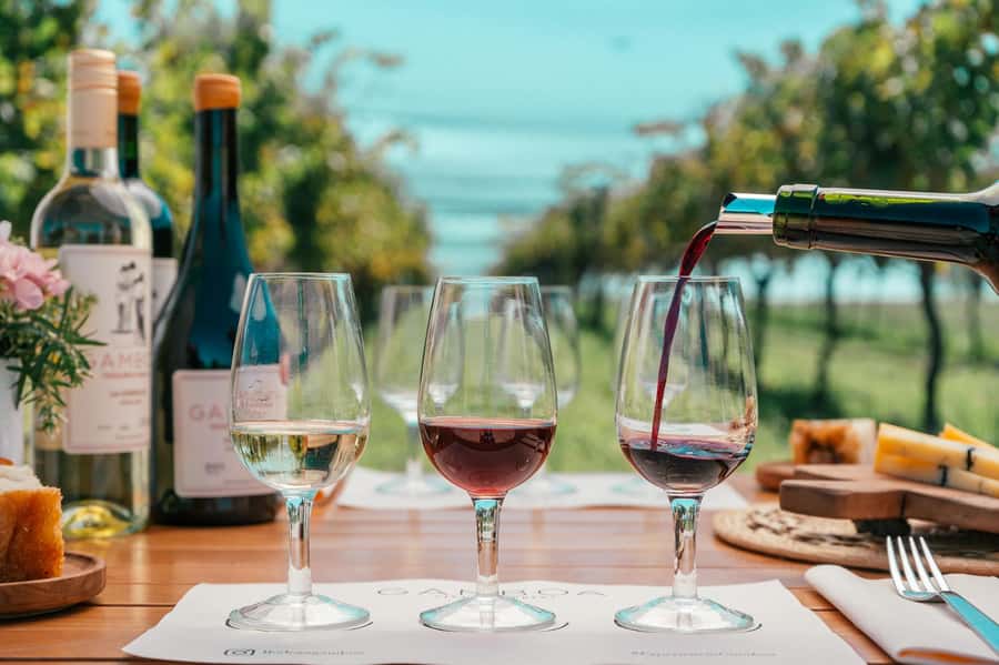 Buenos Aires: Wine Tasting & Lunch at Gamboa Vineyard - Why Bodega Gamboa is a smart Buenos Aires day-trip plan