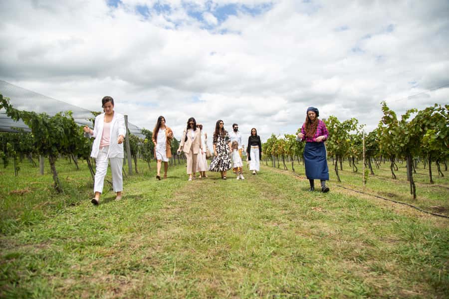 Buenos Aires: Wine Tasting & Lunch at Gamboa Vineyard - Price and value: is $220 fair for this Buenos Aires wine day?
