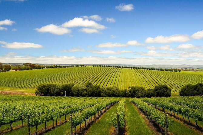 Build your own Unique Private Winery/Brewery Tour at the Margaret River region - Key highlights you’ll care about