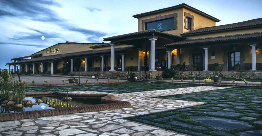 Cáceres: Winery Tour and Wine Tasting with Local Guide - The Barrel Room and Aging Cellar: Time, Temperature, and Patience