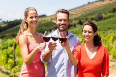 Cáceres: Winery Tour and Wine Tasting with Local Guide - Accumulation, Deposits, Production, and Bottling: Seeing Wine Take Form