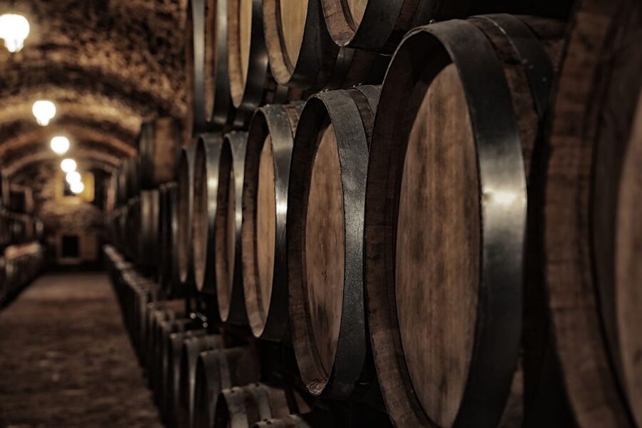Cáceres: Winery Tour and Wine Tasting with Local Guide - Souvenir Shop and Typical Extremadura Products: Don’t Skip the Last Stop