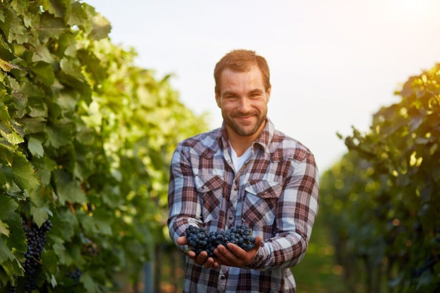 Cáceres: Winery Tour and Wine Tasting with Local Guide - FAQ