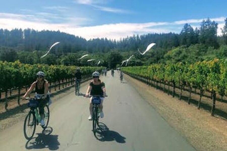 Calistoga: Napa Valley Cycling and Winery Tour with Picnic - Key things that make this tour worth your attention