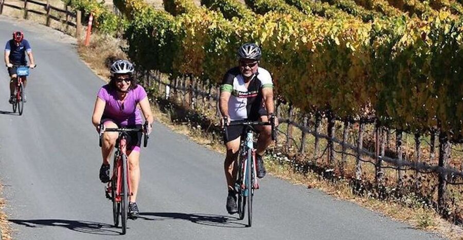 Calistoga: Napa Valley Cycling and Winery Tour with Picnic - Two Napa wineries with room to choose your tasting