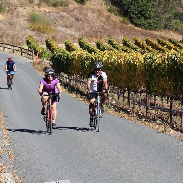 Calistoga: Napa Valley Cycling and Winery Tour with Picnic - Price and value: what $275 buys you, and what it doesn’t