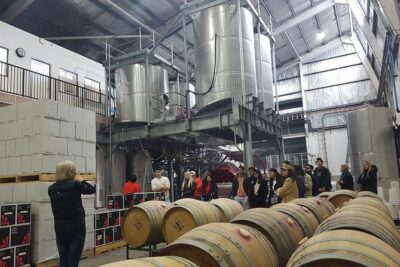 Canberra Small Group Winery Tour - The two winery stops: how you get real value from tastings