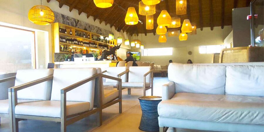 Cape Town: Private Aquila Reserve Safari with Winery Lunch - 4x4 game drive at Aquila: searching for the Big Five
