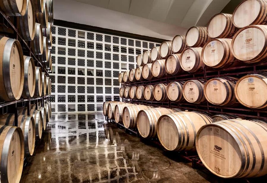 Casa Relvas, Évora - Visit to the Winery with Tasting of Portuguese Grape Varieties and Tapas - Key things to notice before you go