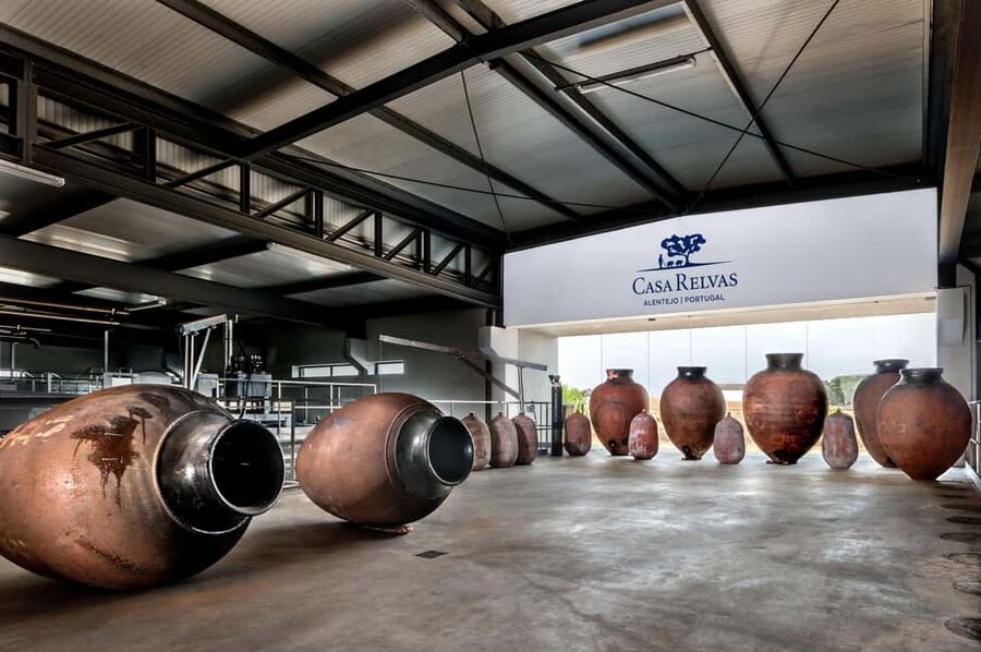 Casa Relvas, Évora - Visit to the Winery with Tasting of Portuguese Grape Varieties and Tapas - Watching the grape process: reception, destemming, pressing, fermentation