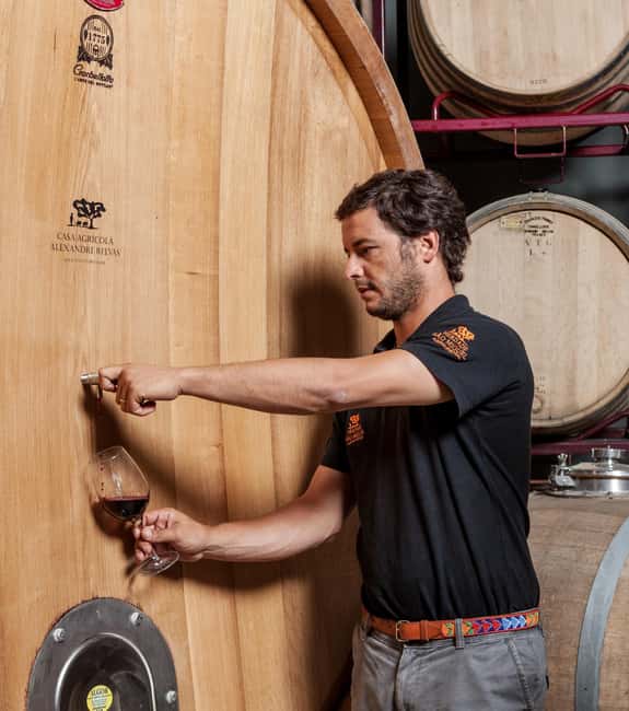 Casa Relvas, Évora - Visit to the Winery with Tasting of Portuguese Grape Varieties and Tapas - Price and value: is $76 per person fair?