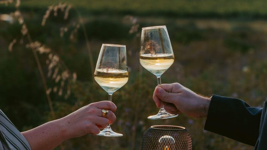 Castelsardo: visit a vineyard with wine tasting at sunset - The Sea-View Setting: Gulf of Asinara Right Where You Want It