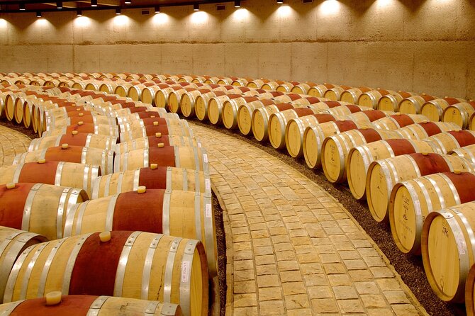 Catena Zapata Winery, Lunch and Private Transportation - Who you’ll be with matters: guides, pacing, and small touches