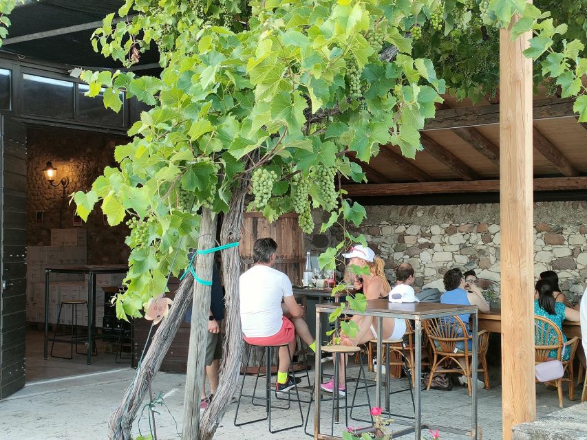 Cavaion: Lake Garda Wine & Food Tasting with Vineyard Tour - Key Highlights You’ll Care About