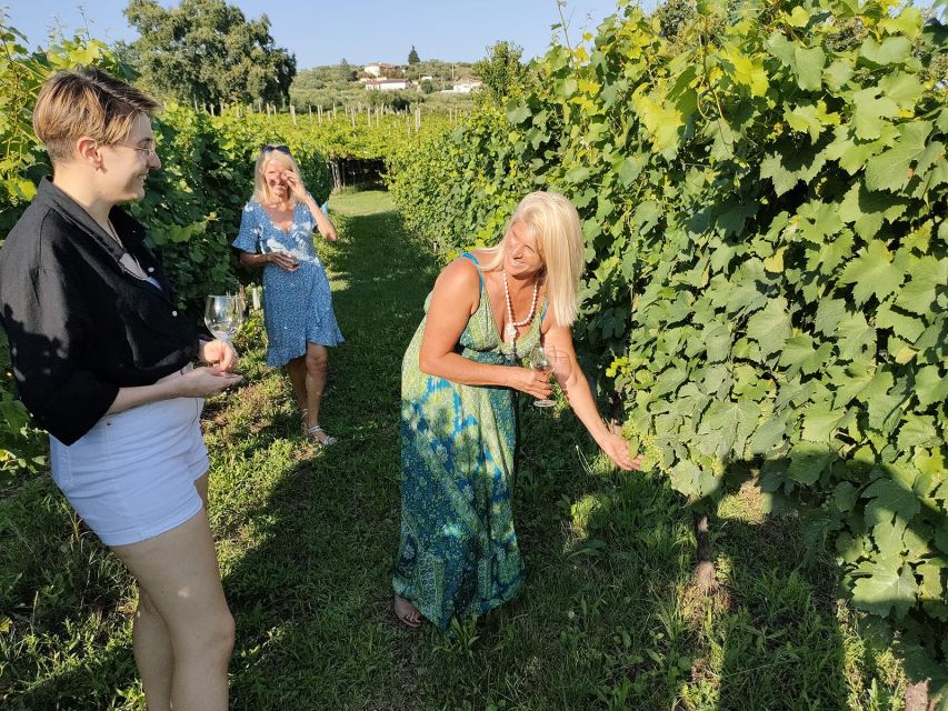 Cavaion: Lake Garda Wine & Food Tasting with Vineyard Tour - Choosing 3 or 5 Wines Without Feeling Rushed
