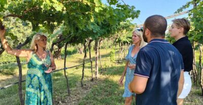 Cavaion: Lake Garda Wine & Food Tasting with Vineyard Tour - Your 2-Hour Flow: From Vines to Wine Shop
