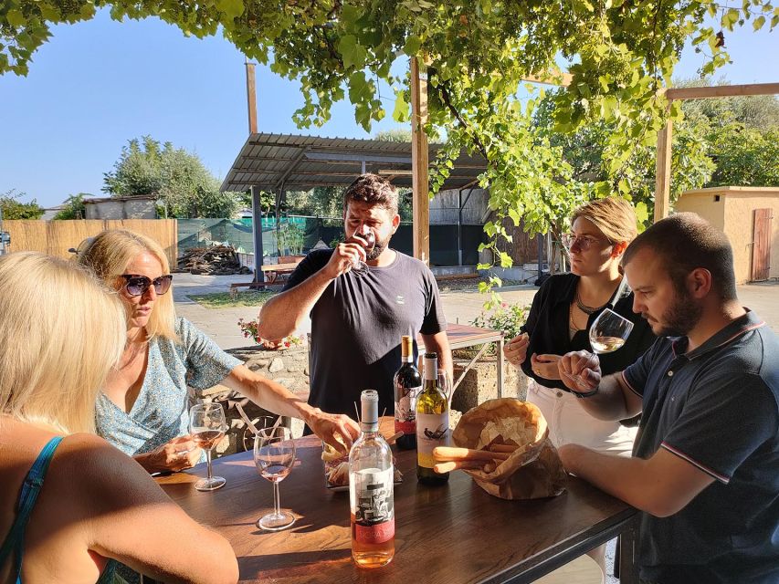 Cavaion: Lake Garda Wine & Food Tasting with Vineyard Tour - Price and Value: Is $41 a Fair Deal for Wine and Food?
