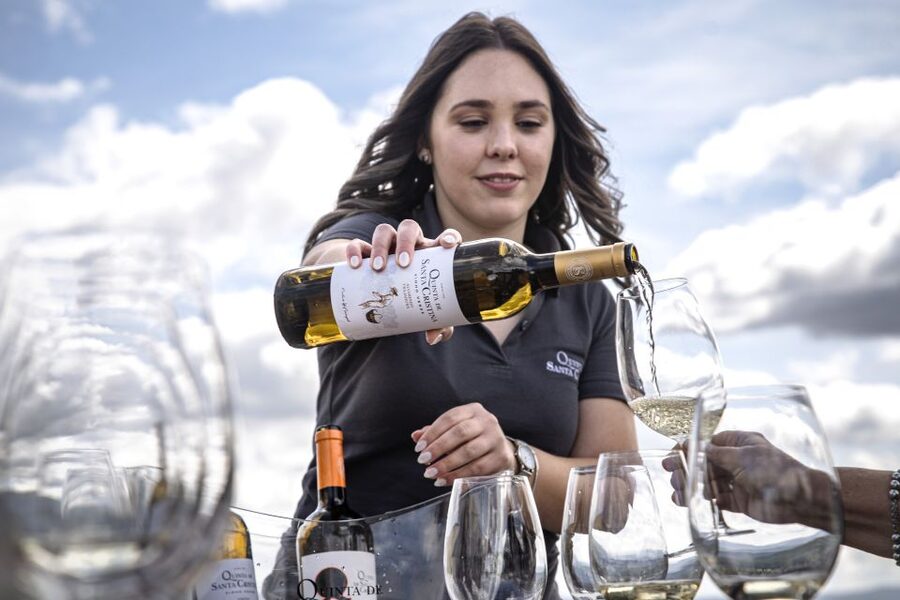 Celorico De Basto: Quinta de Santa Cristina Winery Tour - Key things to know before you book