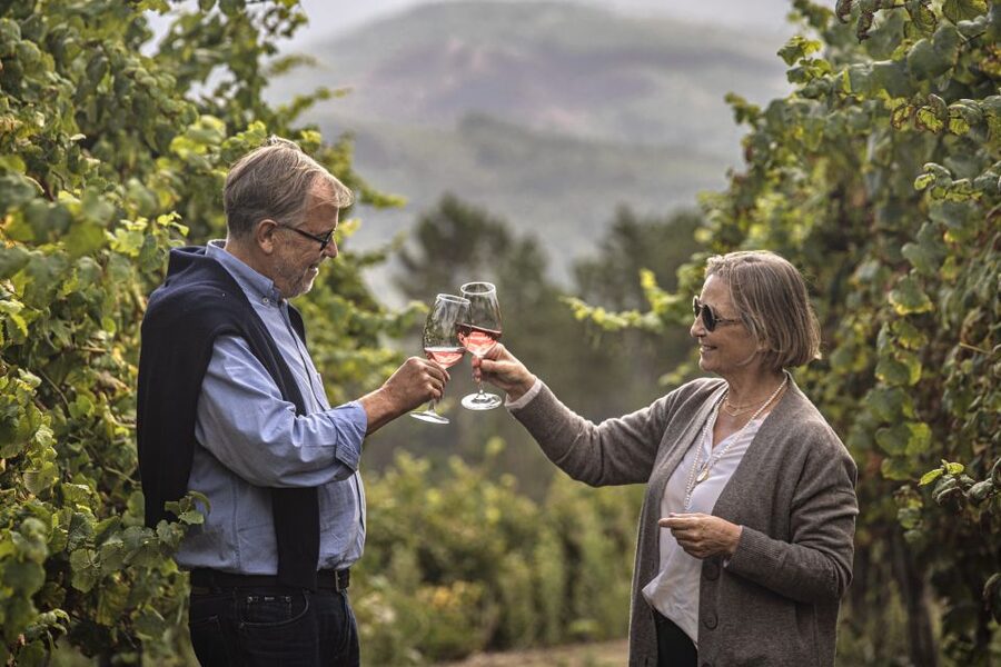 Celorico De Basto: Quinta de Santa Cristina Winery Tour - The vineyard walk (20 minutes): how to use a short stop without feeling rushed