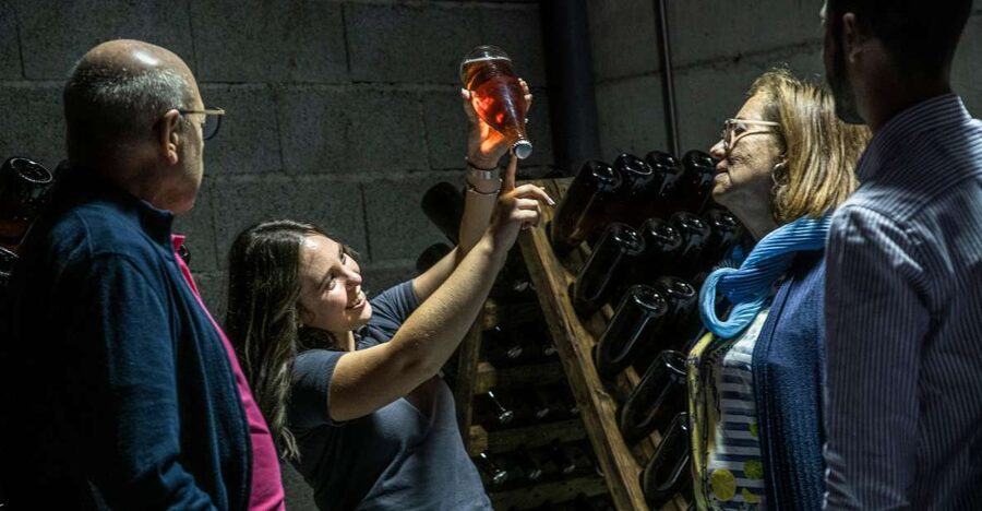 Celorico De Basto: Quinta de Santa Cristina Winery Tour - Winery tour (20 minutes): the story behind bottled wine in 2004