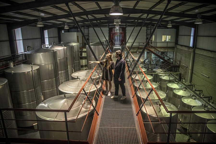 Celorico De Basto: Quinta de Santa Cristina Winery Tour - What you’re really paying for: value in a $28, guide-led tasting