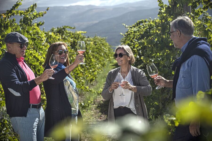 Celorico De Basto: Quinta de Santa Cristina Winery Tour - Getting there from Porto, Braga, and Guimarães without making it complicated