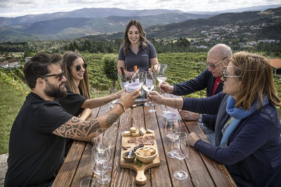 Celorico De Basto: Quinta de Santa Cristina Winery Tour - Before you go: plan for season and set your expectations for the vines
