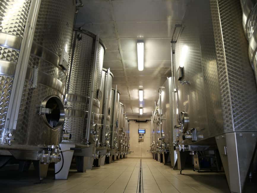 Chablis: Tour and tasting Family-run winery - Domaine Fourrey: a family-run Chablis stop with real focus