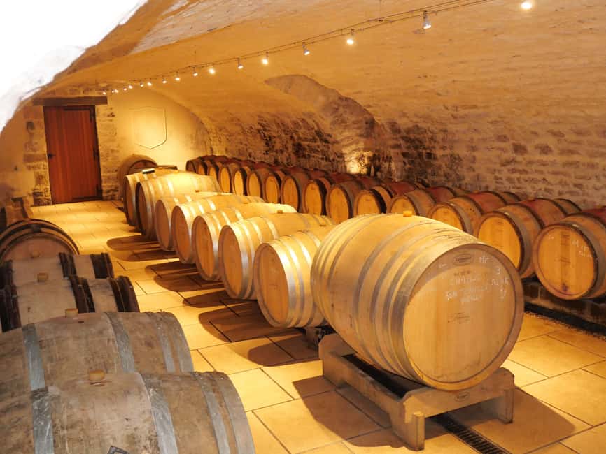 Chablis: Tour and tasting Family-run winery - Four Chablis appellations in one tasting flight