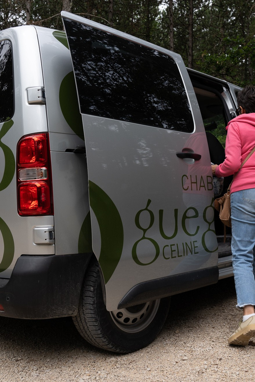 Chablis: Visit of the Grand Cru vineyard - The 50-minute Grand Cru walk: what you should focus on